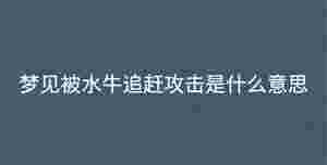 深色背景 - 2022-12-09T105609.821.jpg