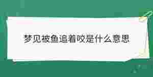 開學(xué)季 - 2022-12-09T110242.812.jpg