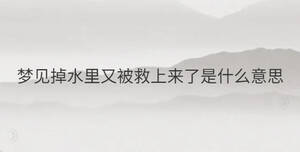 簡單 - 2022-12-15T114433.396.jpg