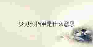 傳統 - 2022-12-19T142916.844.jpg