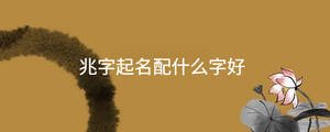 起名 - 2022-12-21T142944.393.jpg