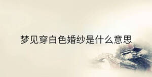 傳統 - 2023-01-04T155348.087.jpg