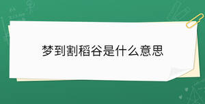 開學季 - 2023-01-31T154000.700.jpg