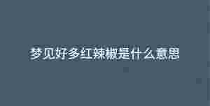 深色背景 - 2023-02-03T101139.809.jpg