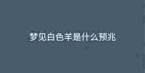 深色背景 - 2023-02-06T144435.787.jpg