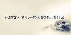 傳統(tǒng) - 2023-03-27T160412.481.jpg