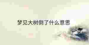 傳統 - 2023-03-29T100614.666.jpg