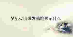 傳統(tǒng) - 2023-04-01T142619.415.jpg