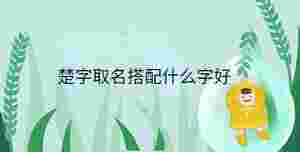 小孩起名 - 2023-04-15T114244.212.jpg