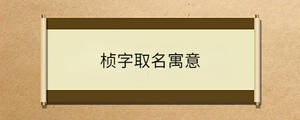 問答 - 2023-04-20T133813.091.jpg