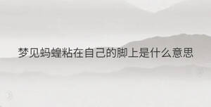 夢(mèng)見(jiàn)螞蝗粘在自己的腳上是什么意思