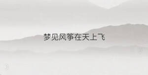 夢(mèng)見風(fēng)箏在天上飛