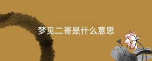 夢(mèng)見二哥是什么意思