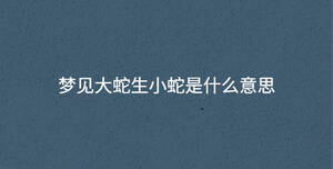 夢(mèng)見大蛇生小蛇是什么意思