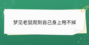 夢見老鼠爬到自己身上甩不掉