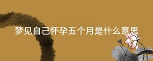 夢見自己懷孕五個月是什么意思
