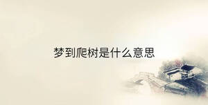 傳統(tǒng) - 2023-07-04T153157.474.jpg