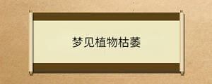 問答 - 2023-07-21T114929.539.jpg