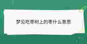 開學(xué)季 - 2023-07-26T152112.600.jpg