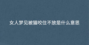 深色背景 - 2023-08-08T095206.252.jpg