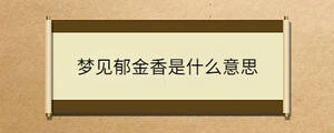 問(wèn)答 - 2023-08-14T152425.097.jpg