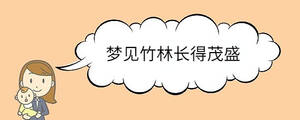 夢(mèng)見(jiàn)竹林長(zhǎng)得茂盛