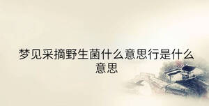 夢(mèng)見采摘野生菌什么意思