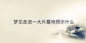 夢見走進(jìn)一大片墓地預(yù)示什么