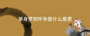 起名 - 2023-09-04T162014.103.jpg