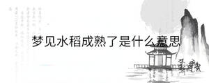 背景圖 - 2023-09-08T133019.728.jpg
