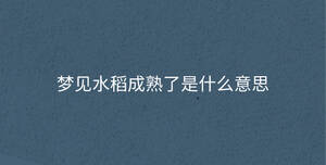 深色背景 - 2023-09-13T110530.228.jpg