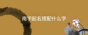 起名 - 2023-09-15T113307.824.jpg