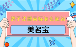 鴿子注冊商標(biāo)怎么起名